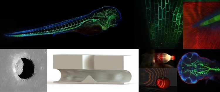 Collage of research pictures