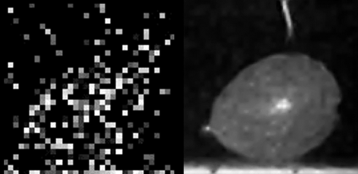 A bursting balloon captured by a single photon camera. 